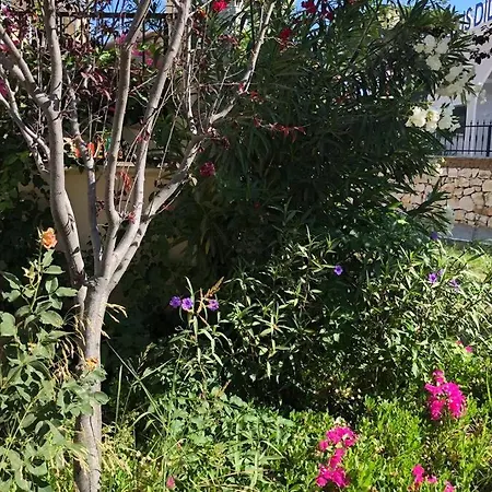 Apartament Didim'De Havuz,Deniz *